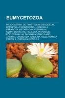 Eumycetozoa