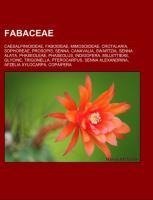 Fabaceae