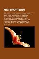 Heteroptera