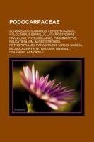 Podocarpaceae