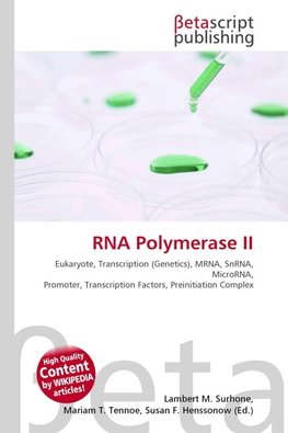 RNA Polymerase II
