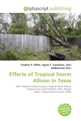 Effects of Tropical Storm Allison in Texas