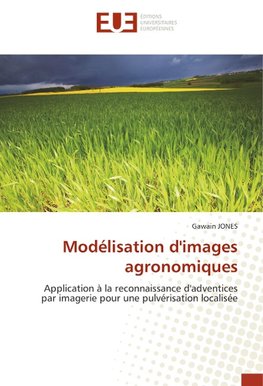 Modélisation d'images agronomiques
