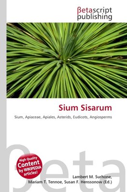 Sium Sisarum