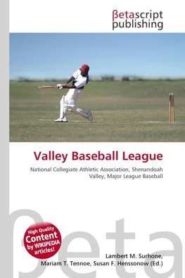 Valley Baseball League