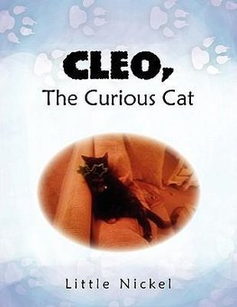 Cleo, the Curious Cat