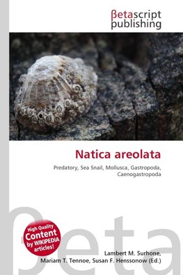 Natica areolata
