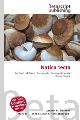 Natica tecta