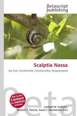 Scalptia Nassa