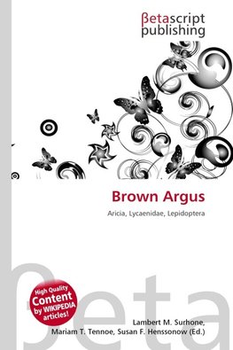 Brown Argus
