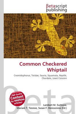 Common Checkered Whiptail