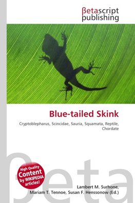 Blue-tailed Skink