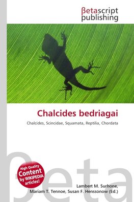 Chalcides bedriagai