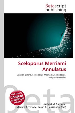 Sceloporus Merriami Annulatus