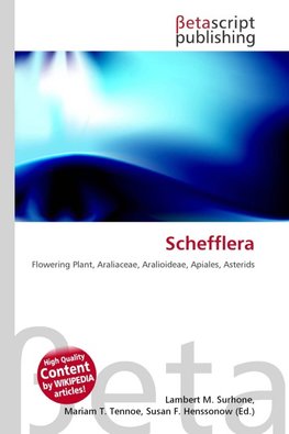 Schefflera