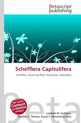 Schefflera Capitulifera