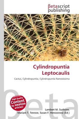 Cylindropuntia Leptocaulis