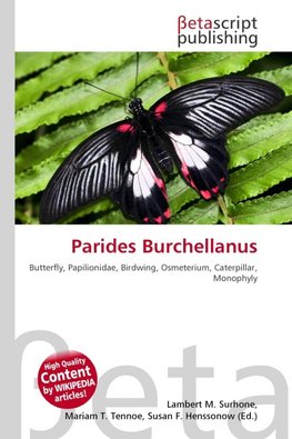 Parides Burchellanus
