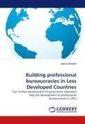 Building professional bureaucracies in Less Developed Countries