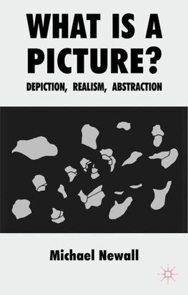 What Is a Picture?
