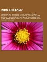 Bird anatomy