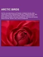 Arctic birds