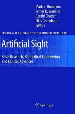 Artificial Sight