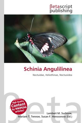 Schinia Angulilinea