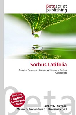 Sorbus Latifolia