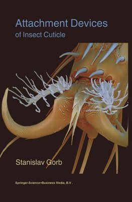 Attachment Devices of Insect Cuticle