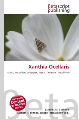 Xanthia Ocellaris
