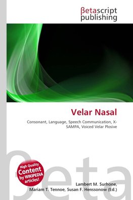 Velar Nasal