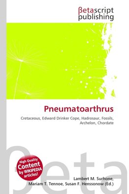 Pneumatoarthrus