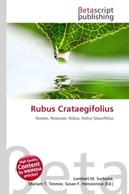 Rubus Crataegifolius