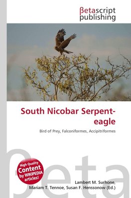 South Nicobar Serpent-eagle