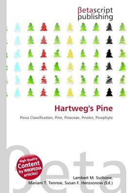 Hartweg's Pine