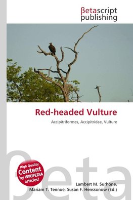 Red-headed Vulture