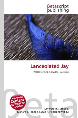 Lanceolated Jay