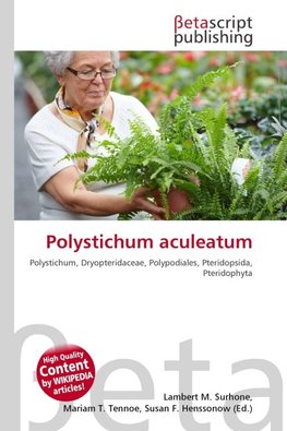 Polystichum aculeatum