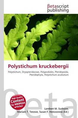 Polystichum kruckebergii