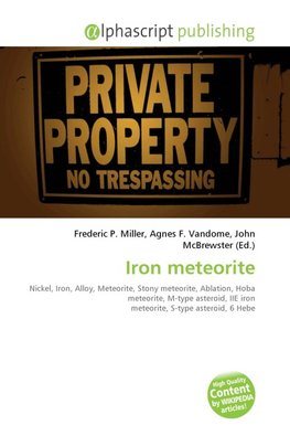 Iron meteorite