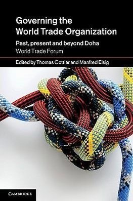 Governing the World Trade Organization