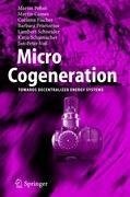 Micro Cogeneration
