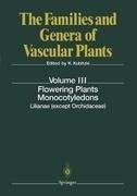 Flowering Plants. Monocotyledons