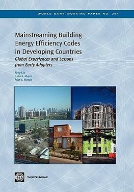 Mainstreaming Building Energy Efficiency Codes in Developing Countries