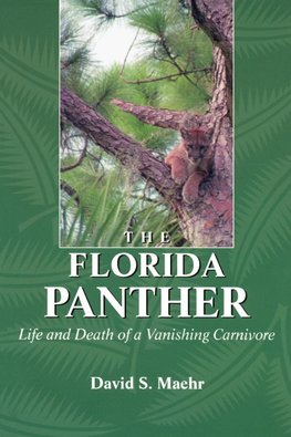 The Florida Panther