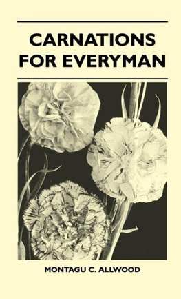 Carnations For Everyman