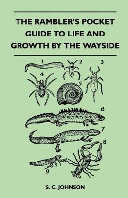 The Rambler's Pocket Guide to Life and Growth by the Wayside