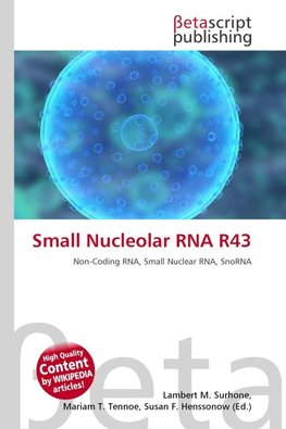 Small Nucleolar RNA R43