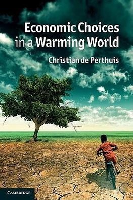 Economic Choices in a Warming World
